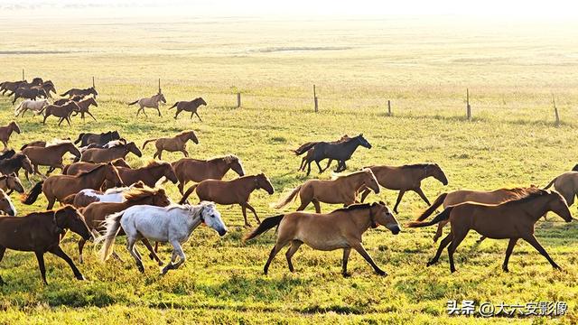 六安摄影师跨越山河万里 定格中国好风光