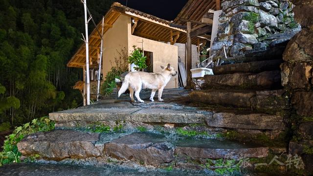皖浙摩旅二人转——松阳横坑村篇（上）