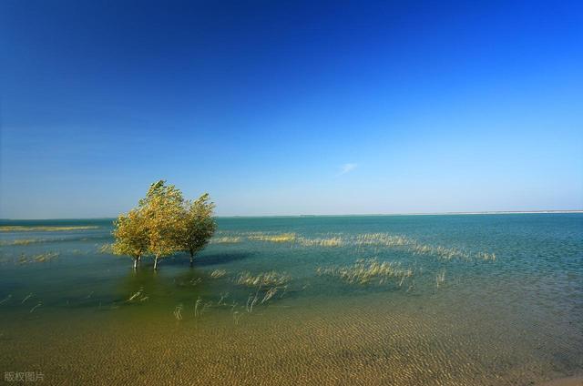 不是冰岛！不是贝加尔！去这个人少静谧的蓝冰秘境，感受冰河奇缘