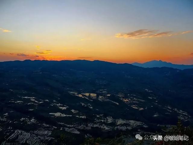 【滇东南游记·二】罗平:在金色花海里追一场春天的光影