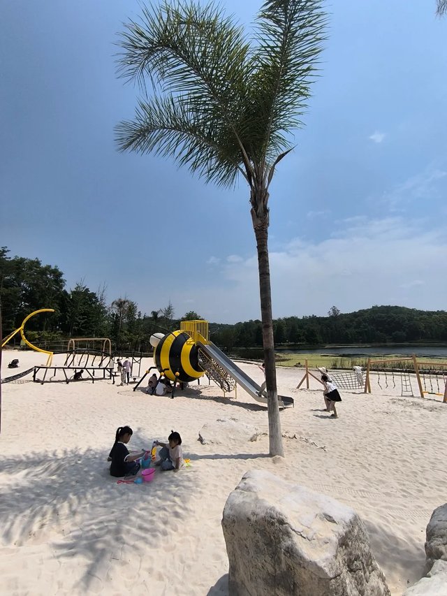 先收藏！成都1h直达最美水杉公园，小众人少、景美出片！