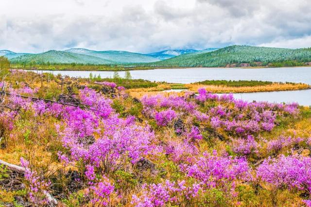 还没结束的花事，槽点太多了！