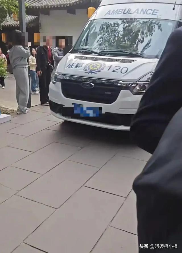 突发！武侯祠百年古柳轰然倒伏，两名游客被砸送医，现场细节曝光