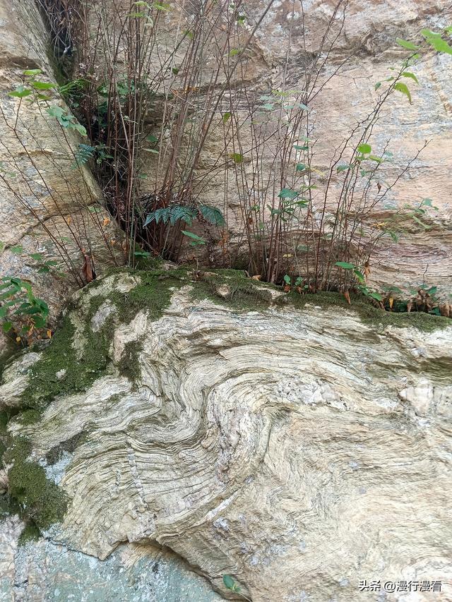 再探木兰山，欲进地质公园而受阻