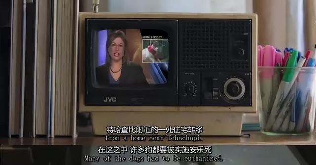 一对夫妻，为了一条狗，种出了一座森林