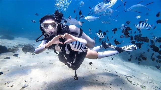 旅游预订量明显增长，海南避寒游市场持续升温