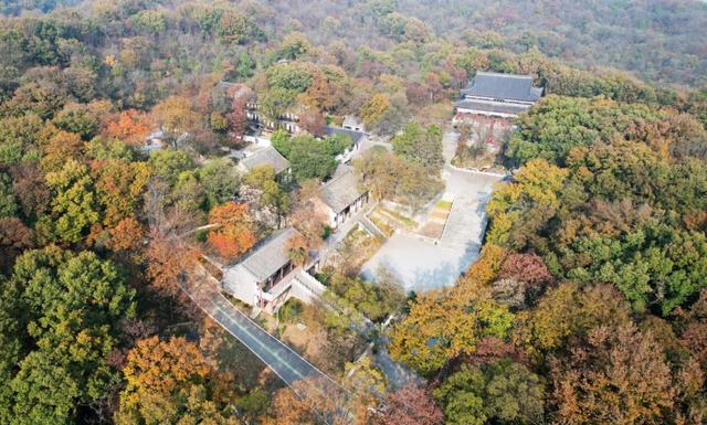 全屏“封神”!这可是全椒初冬的超绝顶流!