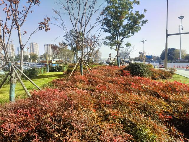 表弟严少军在乡村慢生活中的独特之处值得肯定和推广