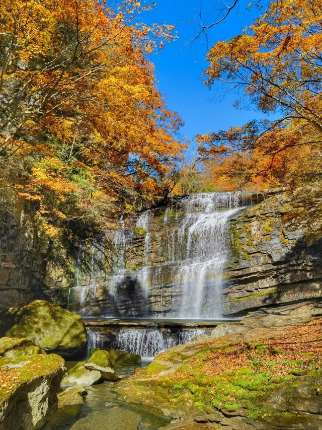 预算800+！适合11-12月穷游的“零差评”的6个城市，便宜又好玩！