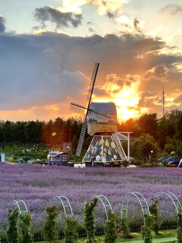 杭州没想到，南京没想到，如今的中国盐城，已成为全国焦点