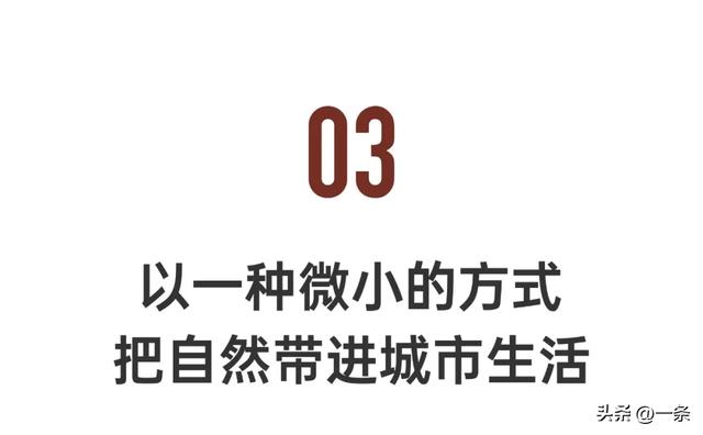 亲历行业寒冬，上海夫妻在老小区一楼改出80m²野地：治愈自己