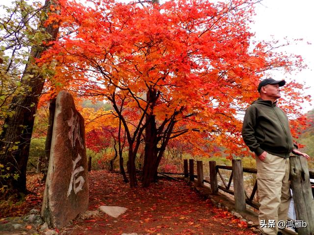 南太子河弯最多最惊险也是风光最美的一段——本溪“湖里”
