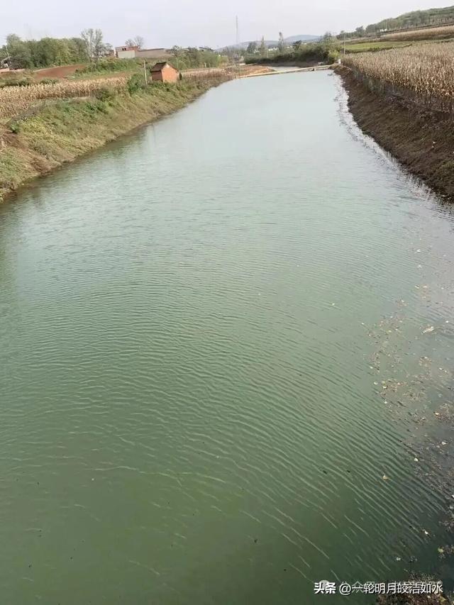 谁不想喝口甘泉水