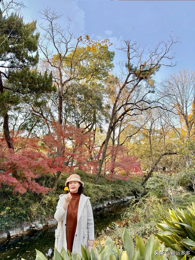 沪上园林古猗园已达颜值巅峰