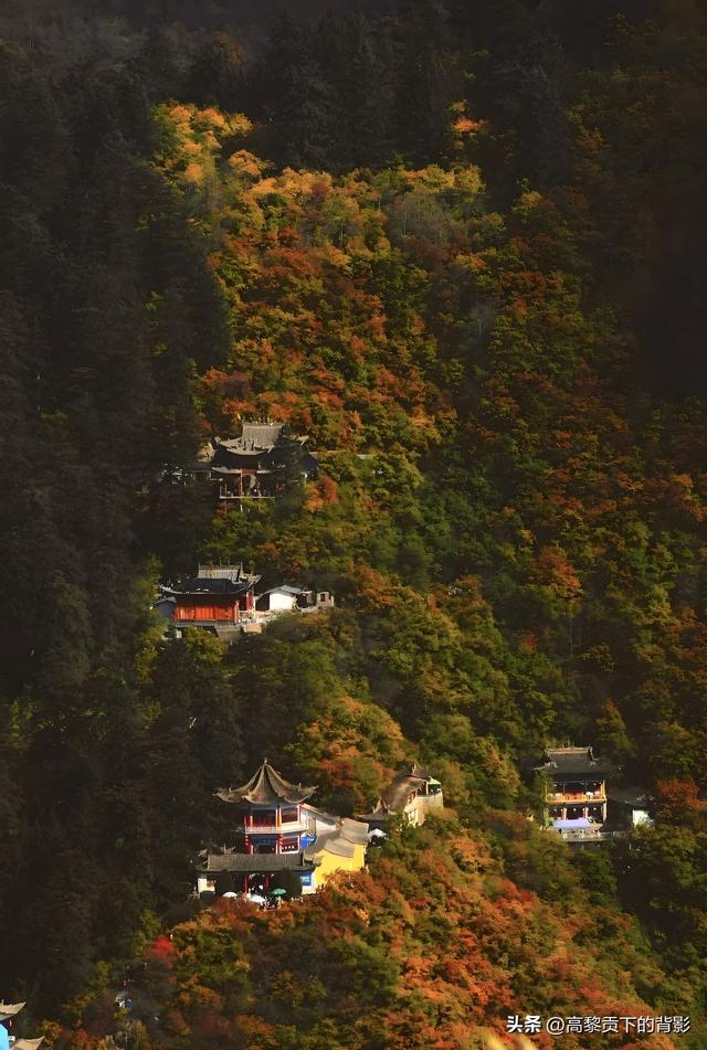 寻幽兴隆山：陇右第一名山的秋日私语