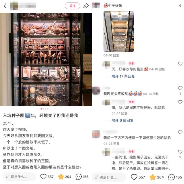 小红书，普通人的奇遇之地