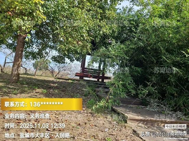 大丰人民路"寿园"：荒了里子，丢了面子，有关领导岀来看一看！