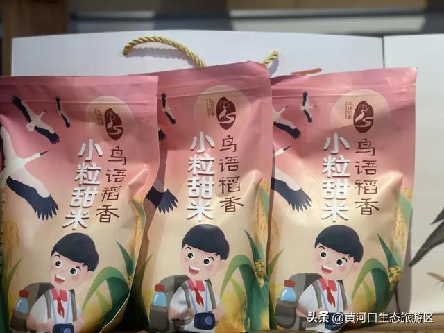 【黄河口生态旅游区】开学季 奔赴自然之美