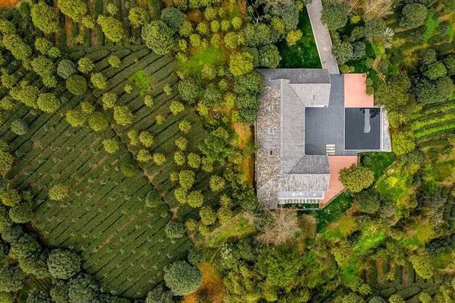 邛崃这些林盘景区，藏着向往的诗意与远方