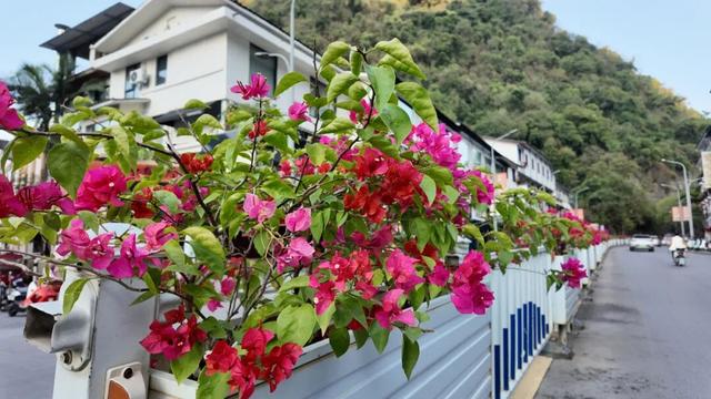 微视点 | 阳朔：“三化”赋能山水秀 生态变现百姓富