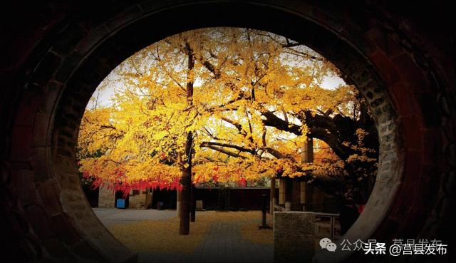 文旅山东推介莒县“宝藏小城”！