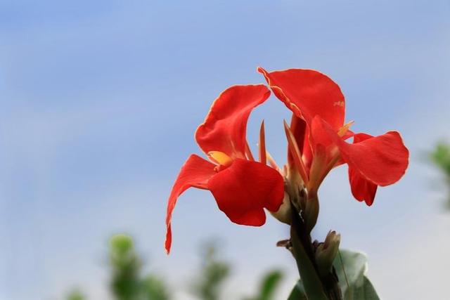头条爆文《夫妻最好的相处：不是搭伙过日子，而是并肩闯人间》