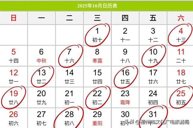 秋游柳州，赶一场穿山镇的烟火大圩~