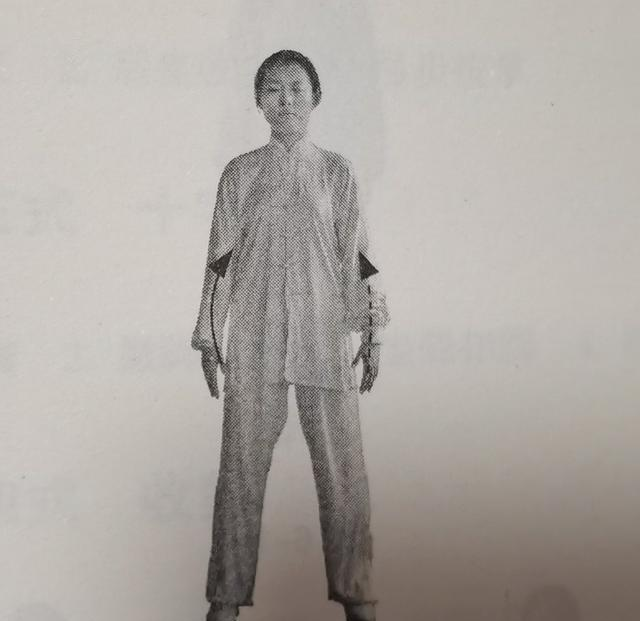 太极：以意驭气，以气引身的生命律动