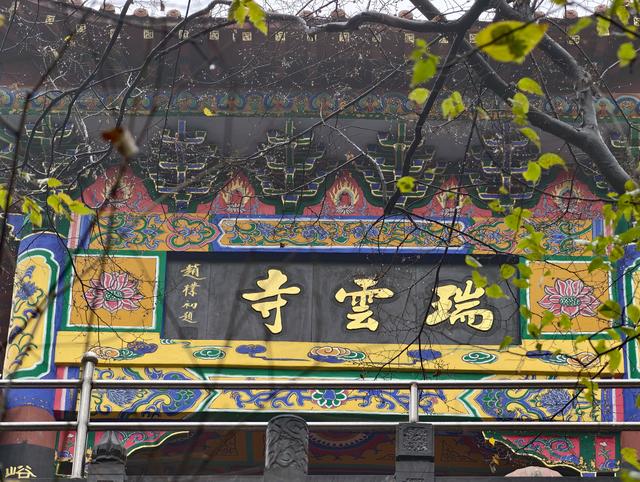 秋雨访皇藏峪，瑞云寺前问禅心