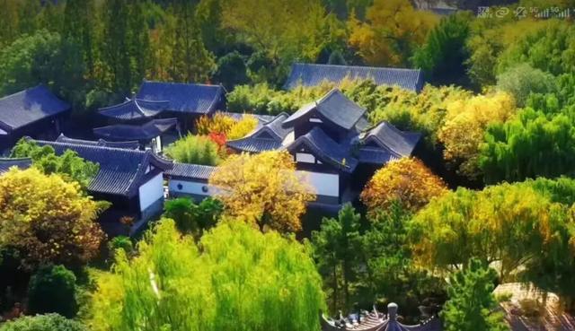 临沂初冬“热”出圈！打卡攻略赶紧码