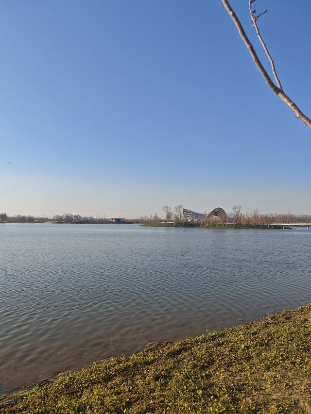 今天的锻炼任务