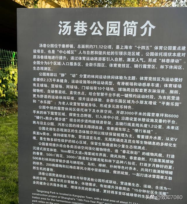 上海市浦东新区周末亲子游露营新去处！