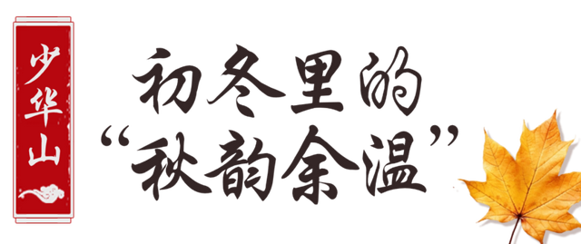 还能去哪儿赏最后一波秋色……