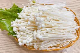 金针菇是“毒蘑菇”？含碱会中毒，还易得肾结石？不妨多了解下图片