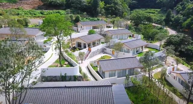 游神韵随州·享炎帝节福丨随州新春祈福季旅游线路推荐