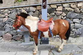 天下九塞，雁门为首，中华第一关雁门关景区游览攻略图片