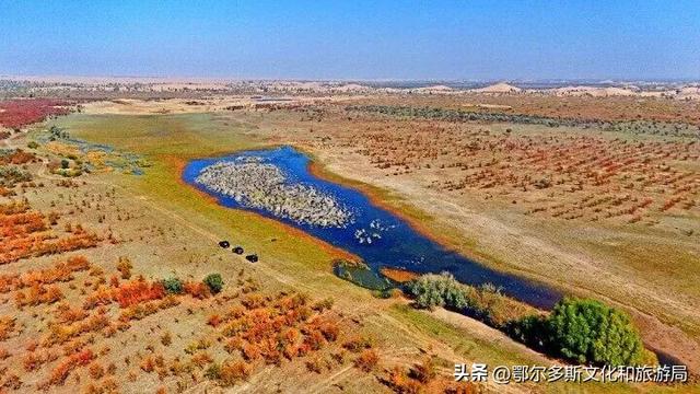 内蒙古杭锦旗：湿地秋景惹人醉