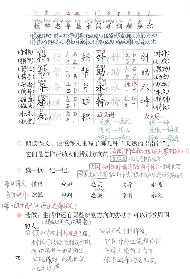 二年级下册语文，第六单元《要是你在野外迷了路》笔记+课堂解析