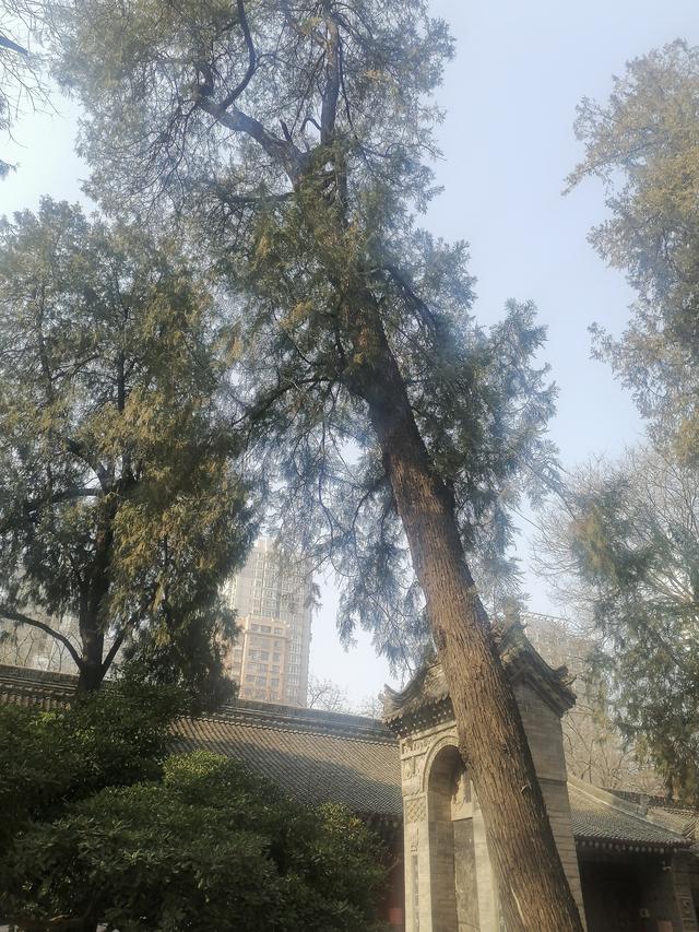 千年古刹 密宗祖庭