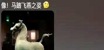 狗子冒着大雨淌水回家，到家发现水比外面还深。狗：淋成狗了
