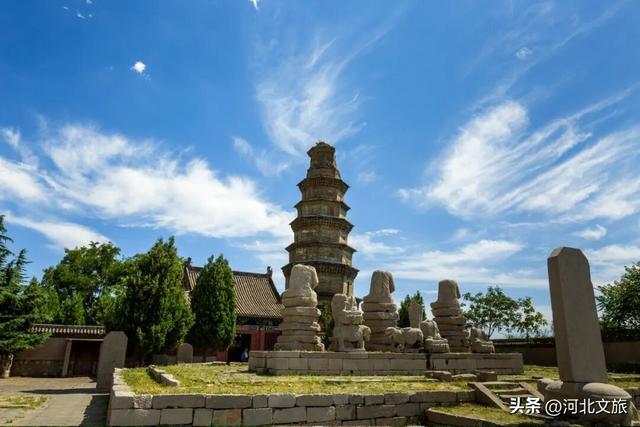 解锁石窟界的"顶流",这八大看点别错过!