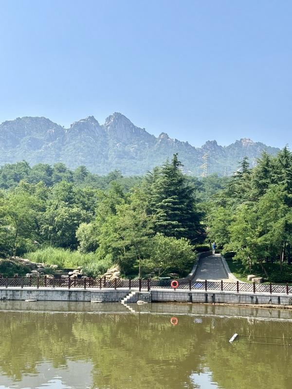 一座藏在青岛主城区内的森林氧吧