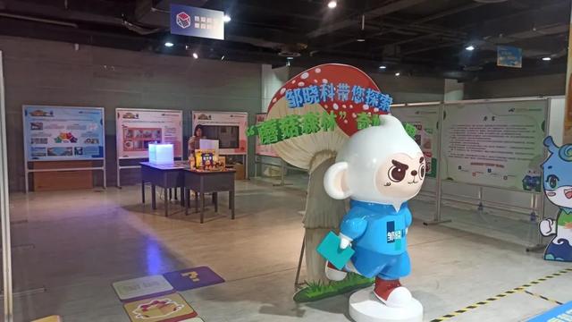 周末就“趣”博物馆丨济宁博物馆本周活动预告