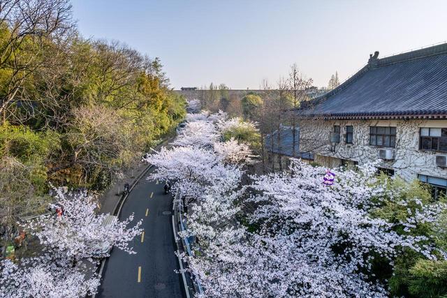 清明"黄金周"收官：出行半径超800公里，数据背后藏着什么信号