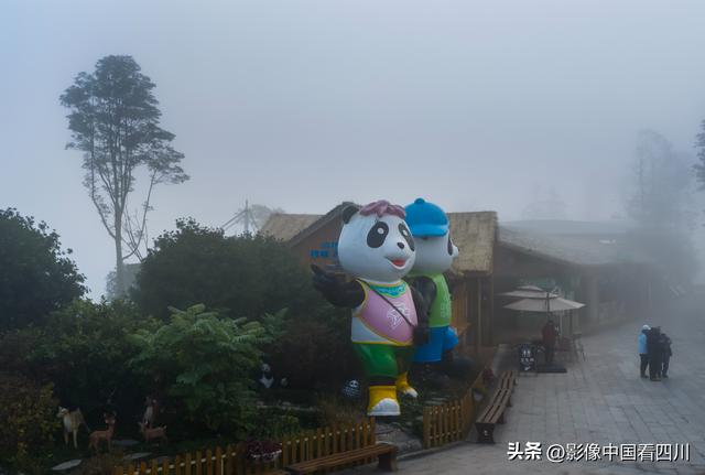 四川雅安：碧峰峡风光旖旎引客来