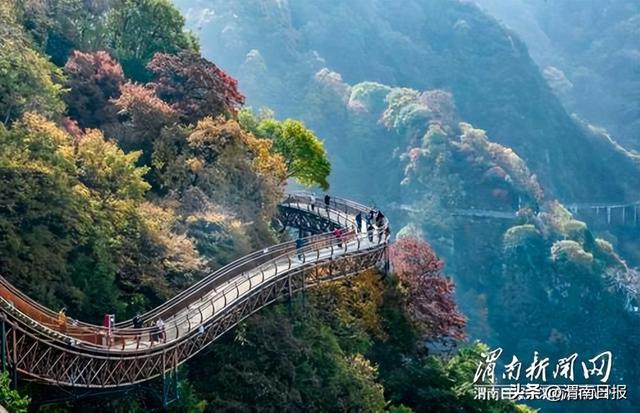 少华秋色“醉”游人