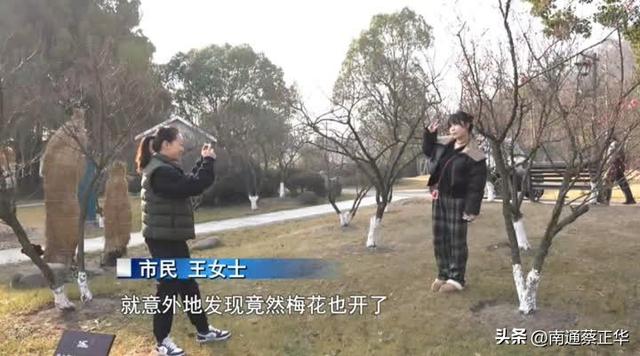 南通冬日“顶流”回归！