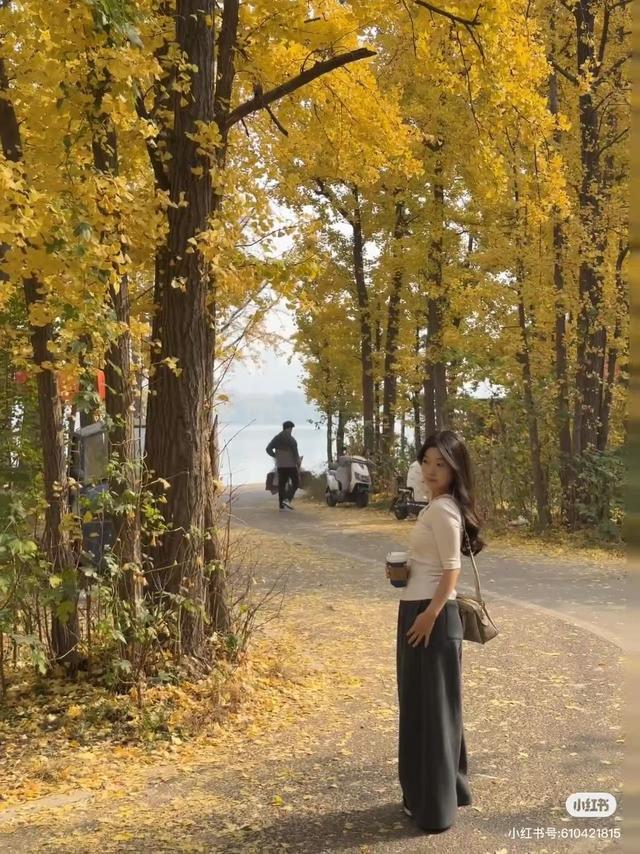 最适合拍银杏的地方！ 临沂十个0元打卡点，抓住今年最后的金色风暴！