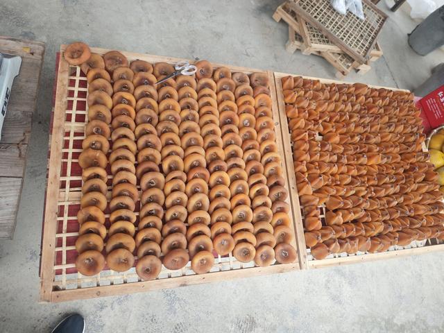 桂北秋色行之柿红