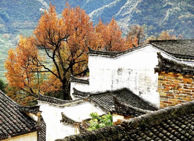 婺源篁岭：这个秋天，去篁岭去拍“晒秋”吧